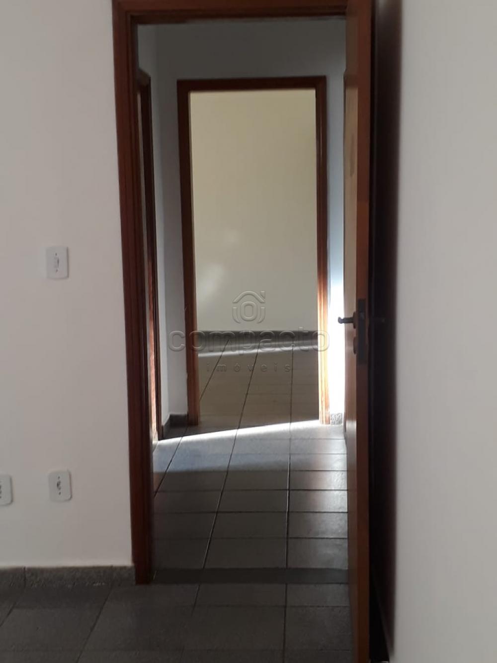 Alugar Casa / Padrão em São José do Rio Preto apenas R$ 1.500,00 - Foto 3 Alugar Casa / Padrão em São José do Rio Preto apenas R$ 1.500,00 - Foto 3