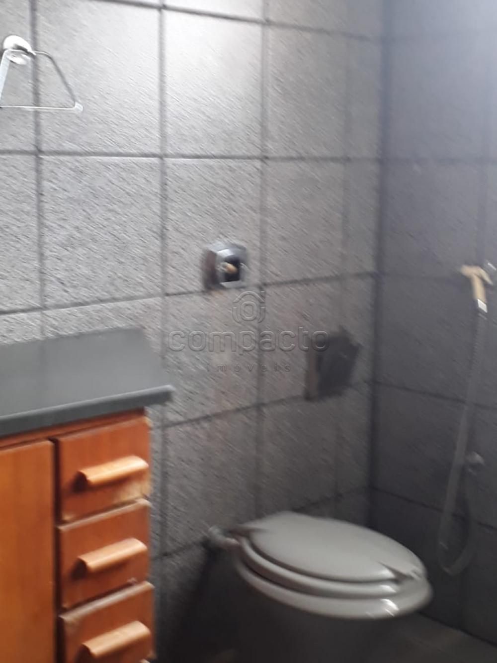 Alugar Casa / Padrão em São José do Rio Preto apenas R$ 1.500,00 - Foto 5 Alugar Casa / Padrão em São José do Rio Preto apenas R$ 1.500,00 - Foto 5