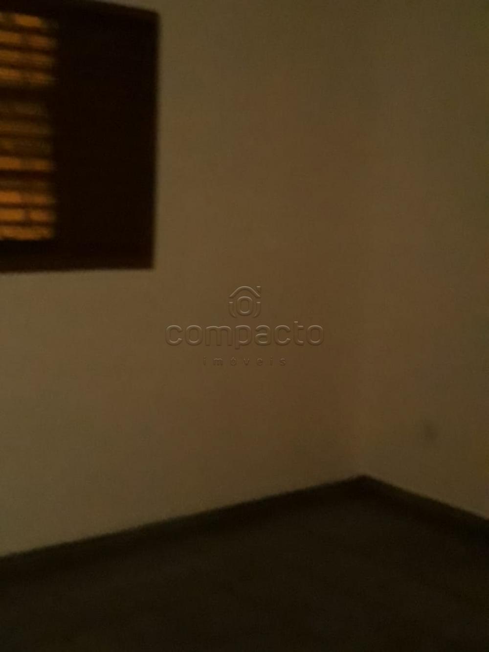Alugar Casa / Padrão em São José do Rio Preto apenas R$ 1.500,00 - Foto 6 Alugar Casa / Padrão em São José do Rio Preto apenas R$ 1.500,00 - Foto 6