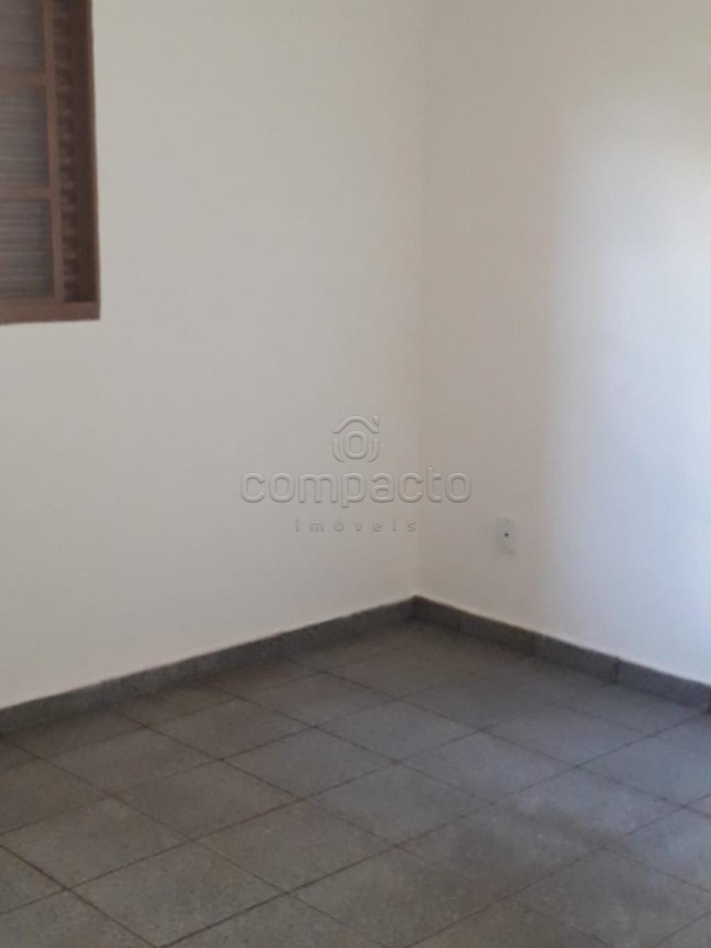 Alugar Casa / Padrão em São José do Rio Preto apenas R$ 1.500,00 - Foto 7 Alugar Casa / Padrão em São José do Rio Preto apenas R$ 1.500,00 - Foto 7