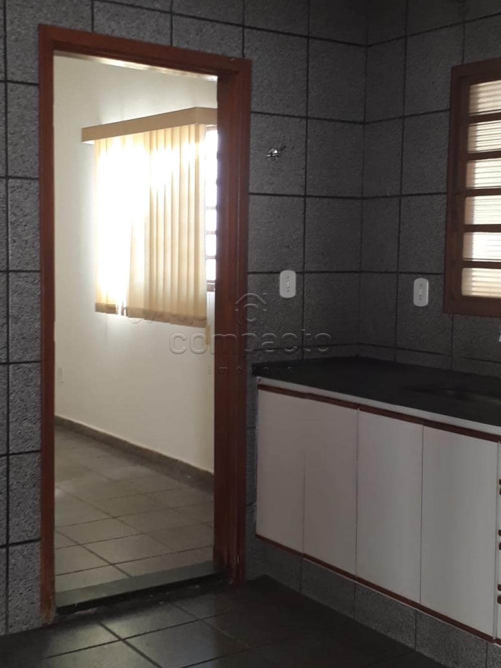 Alugar Casa / Padrão em São José do Rio Preto apenas R$ 1.500,00 - Foto 8 Alugar Casa / Padrão em São José do Rio Preto apenas R$ 1.500,00 - Foto 8
