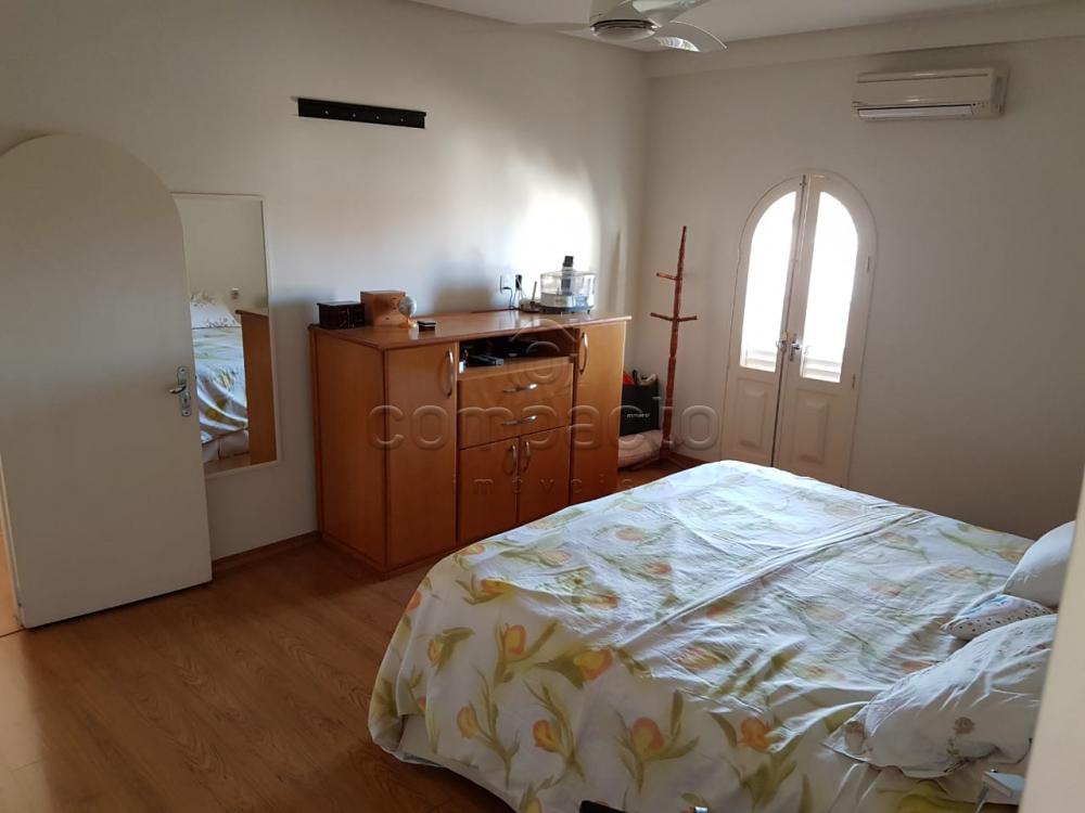 Alugar Casa / Padrão em São José do Rio Preto apenas R$ 10.000,00 - Foto 11 Alugar Casa / Padrão em São José do Rio Preto apenas R$ 10.000,00 - Foto 11