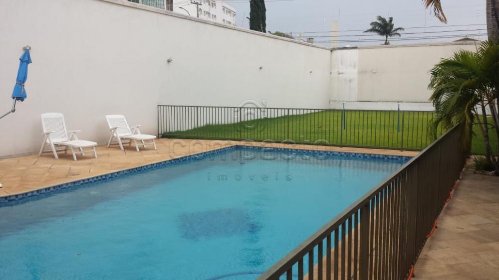 Alugar Casa / Padrão em São José do Rio Preto apenas R$ 10.000,00 - Foto 16 Alugar Casa / Padrão em São José do Rio Preto apenas R$ 10.000,00 - Foto 16