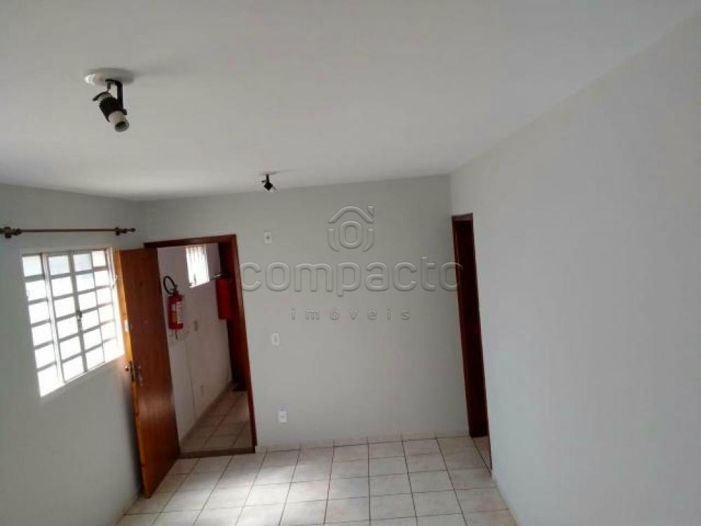 Alugar Apartamento / Padrão em São José do Rio Preto apenas R$ 720,00 - Foto 1 Alugar Apartamento / Padrão em São José do Rio Preto apenas R$ 720,00 - Foto 1