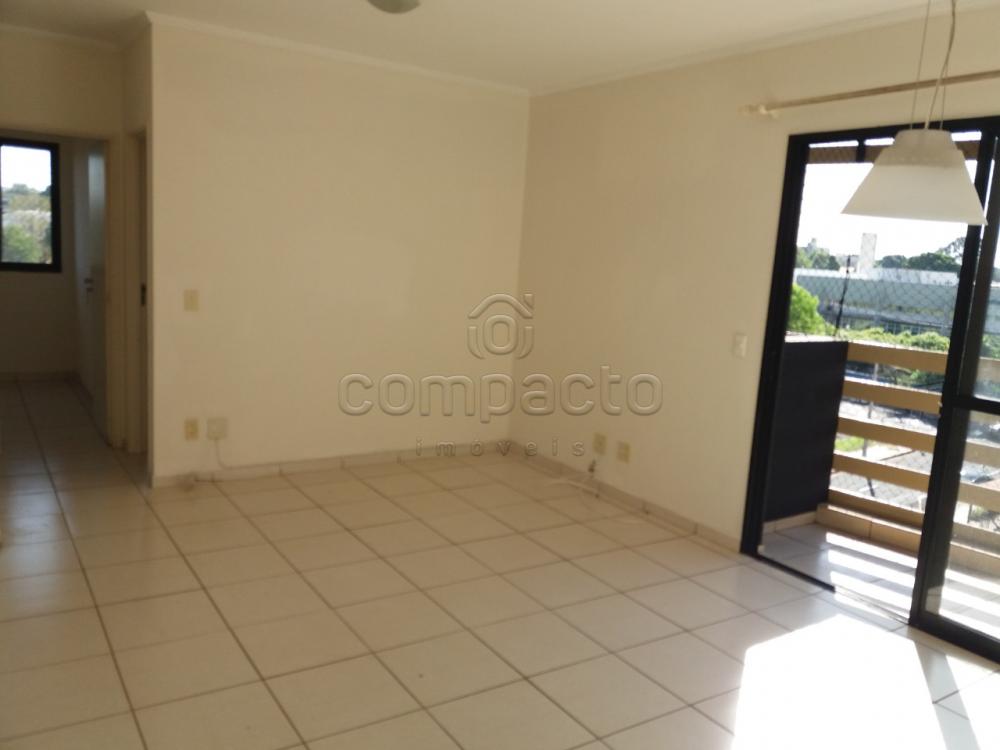 Alugar Apartamento / Padrão em São José do Rio Preto apenas R$ 1.000,00 - Foto 2 Alugar Apartamento / Padrão em São José do Rio Preto apenas R$ 1.000,00 - Foto 2