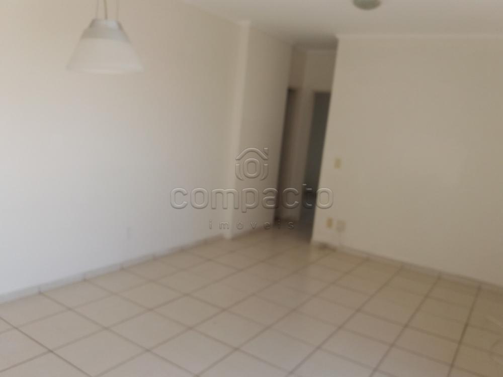 Alugar Apartamento / Padrão em São José do Rio Preto apenas R$ 1.000,00 - Foto 5 Alugar Apartamento / Padrão em São José do Rio Preto apenas R$ 1.000,00 - Foto 5