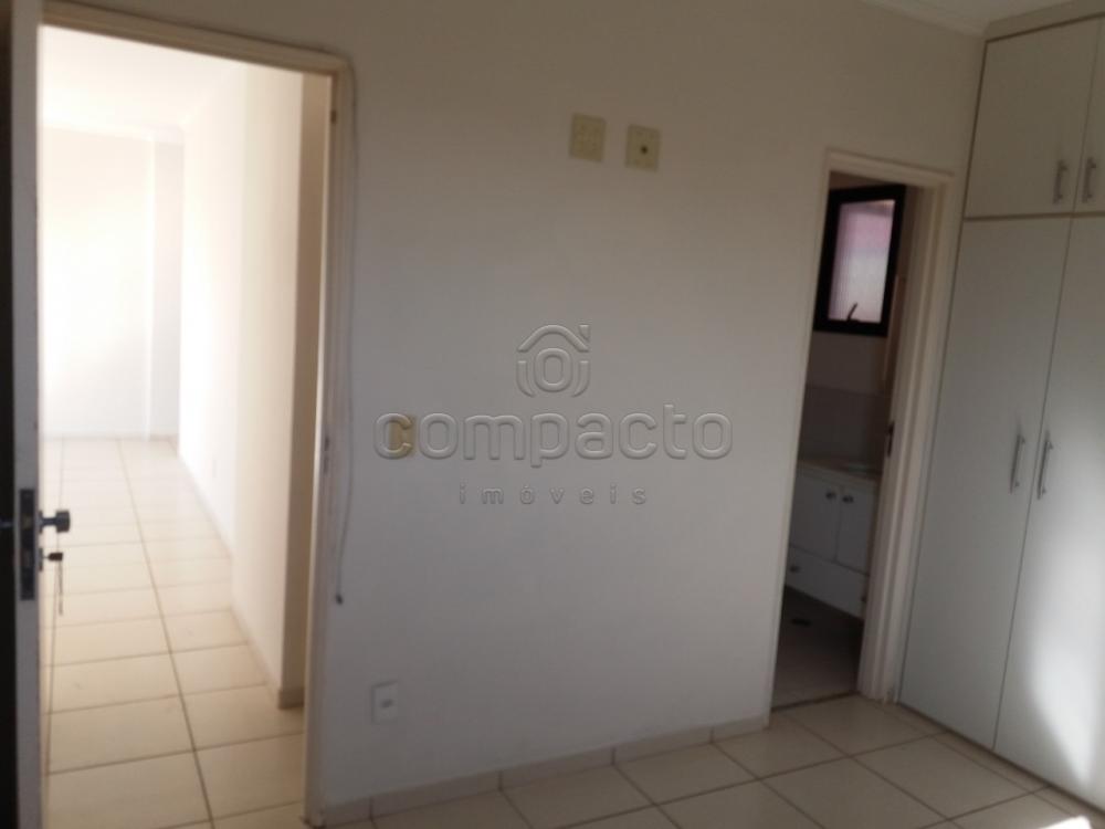 Alugar Apartamento / Padrão em São José do Rio Preto apenas R$ 1.000,00 - Foto 6 Alugar Apartamento / Padrão em São José do Rio Preto apenas R$ 1.000,00 - Foto 6