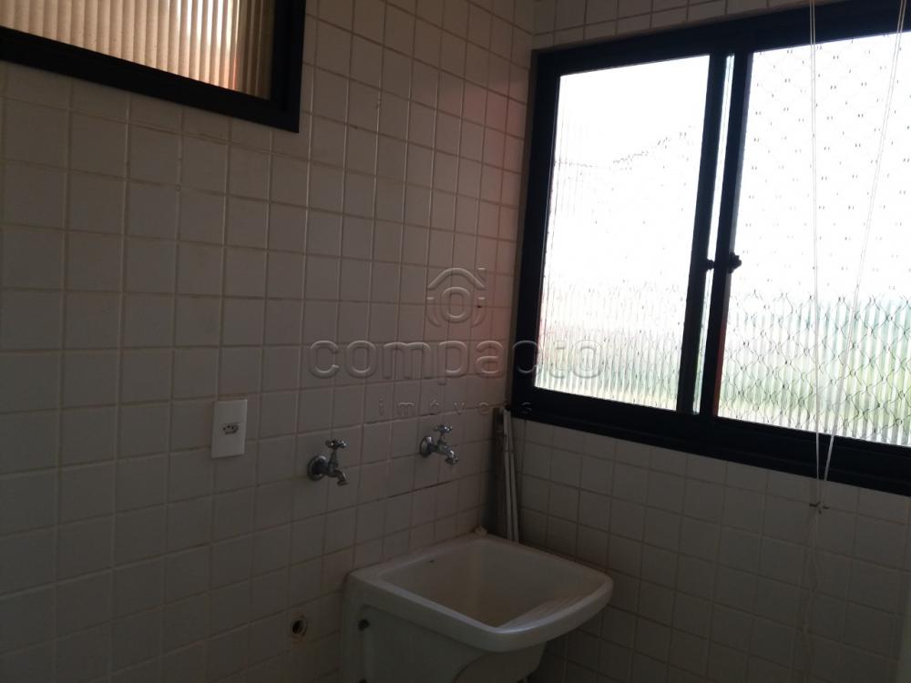 Alugar Apartamento / Padrão em São José do Rio Preto apenas R$ 1.000,00 - Foto 11 Alugar Apartamento / Padrão em São José do Rio Preto apenas R$ 1.000,00 - Foto 11