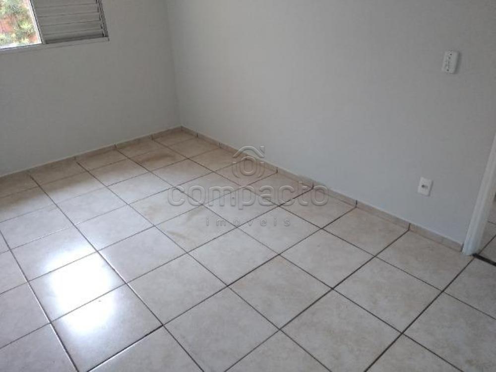 Comprar Casa / Condomínio em São José do Rio Preto apenas R$ 270.000,00 - Foto 4 Comprar Casa / Condomínio em São José do Rio Preto apenas R$ 270.000,00 - Foto 4