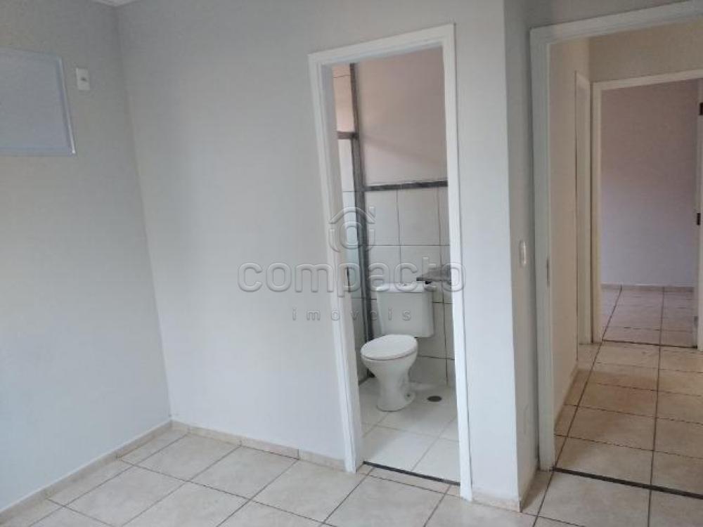 Comprar Casa / Condomínio em São José do Rio Preto apenas R$ 270.000,00 - Foto 5 Comprar Casa / Condomínio em São José do Rio Preto apenas R$ 270.000,00 - Foto 5