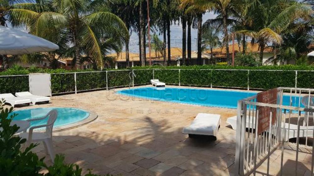 Comprar Casa / Condomínio em São José do Rio Preto apenas R$ 270.000,00 - Foto 13 Comprar Casa / Condomínio em São José do Rio Preto apenas R$ 270.000,00 - Foto 13