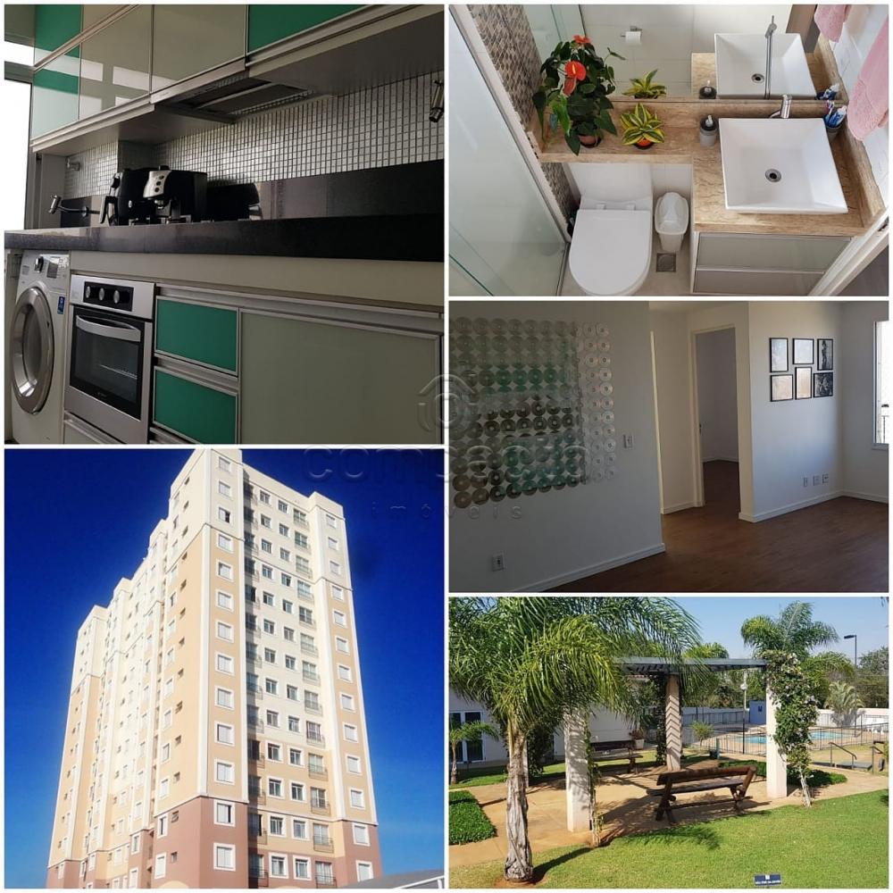 Comprar Apartamento / Padrão em São José do Rio Preto apenas R$ 222.000,00 - Foto 1 Comprar Apartamento / Padrão em São José do Rio Preto apenas R$ 222.000,00 - Foto 1