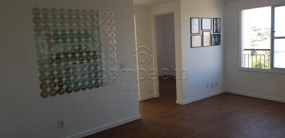 Comprar Apartamento / Padrão em São José do Rio Preto apenas R$ 222.000,00 - Foto 3 Comprar Apartamento / Padrão em São José do Rio Preto apenas R$ 222.000,00 - Foto 3