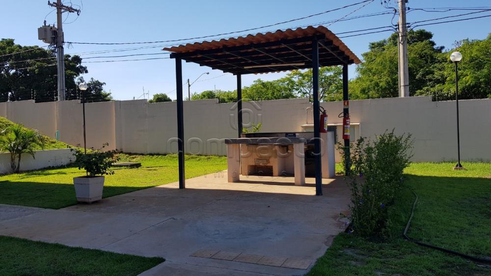 Comprar Apartamento / Padrão em São José do Rio Preto apenas R$ 222.000,00 - Foto 18 Comprar Apartamento / Padrão em São José do Rio Preto apenas R$ 222.000,00 - Foto 18