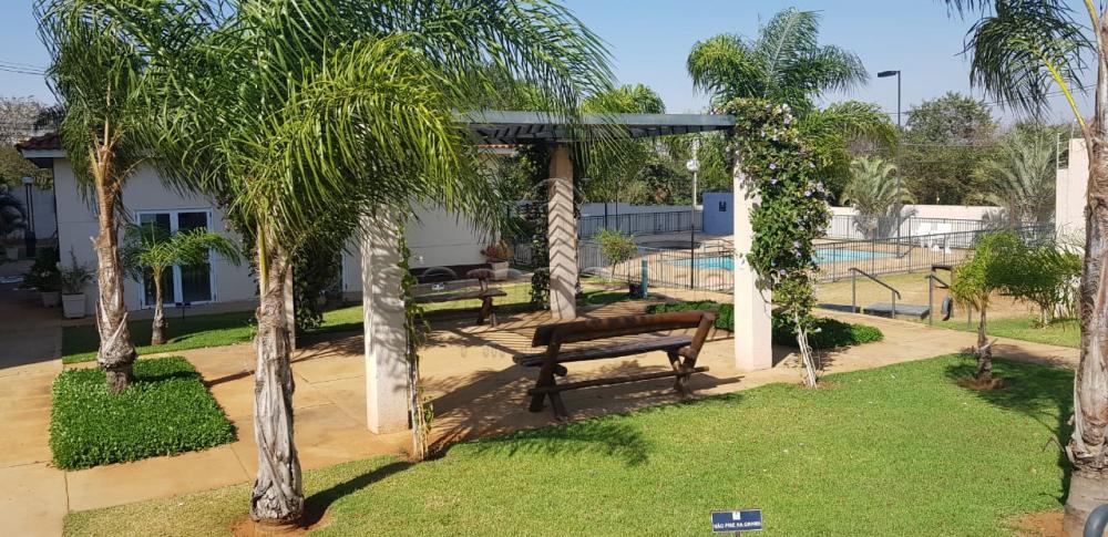 Comprar Apartamento / Padrão em São José do Rio Preto apenas R$ 222.000,00 - Foto 19 Comprar Apartamento / Padrão em São José do Rio Preto apenas R$ 222.000,00 - Foto 19