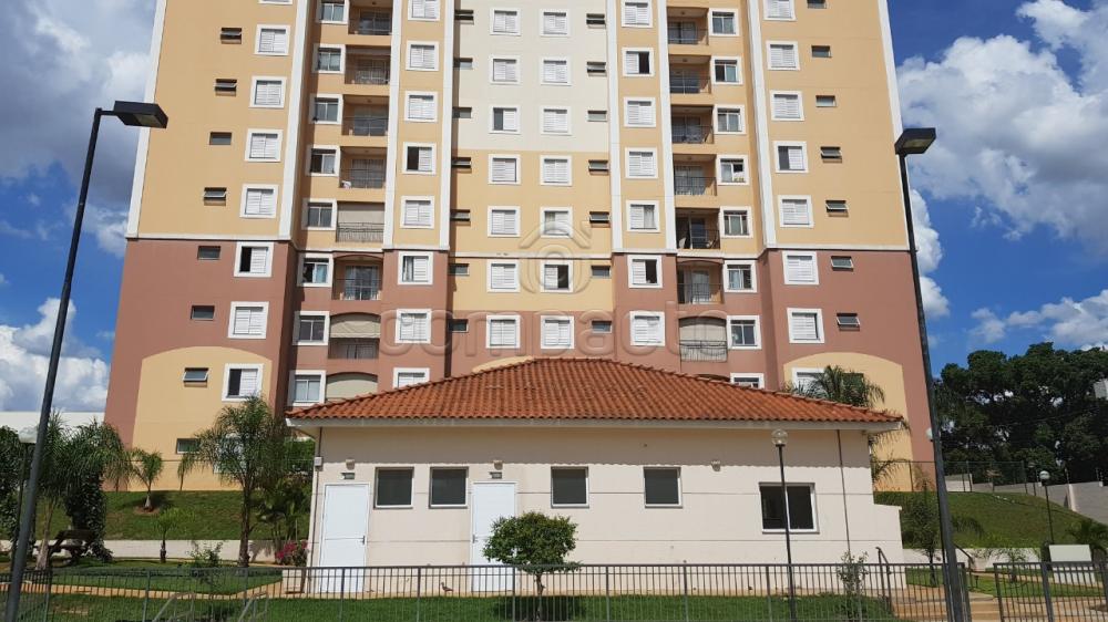 Comprar Apartamento / Padrão em São José do Rio Preto apenas R$ 222.000,00 - Foto 20 Comprar Apartamento / Padrão em São José do Rio Preto apenas R$ 222.000,00 - Foto 20