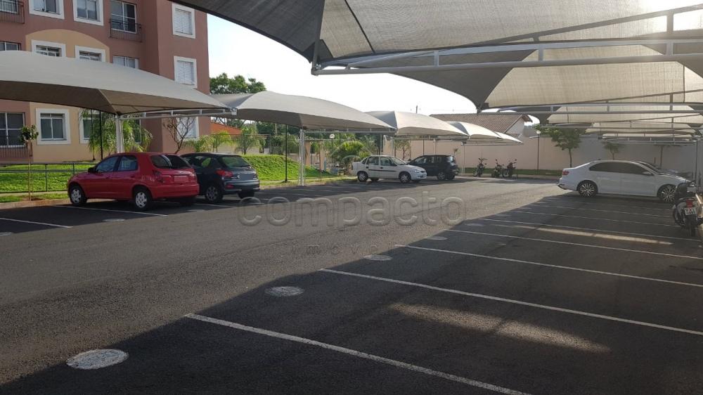 Comprar Apartamento / Padrão em São José do Rio Preto apenas R$ 222.000,00 - Foto 22 Comprar Apartamento / Padrão em São José do Rio Preto apenas R$ 222.000,00 - Foto 22