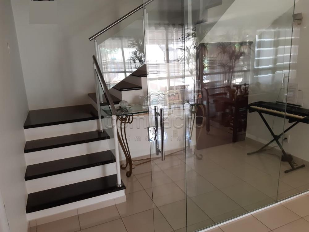 Comprar Casa / Condomínio em São José do Rio Preto apenas R$ 1.300.000,00 - Foto 4 Comprar Casa / Condomínio em São José do Rio Preto apenas R$ 1.300.000,00 - Foto 4
