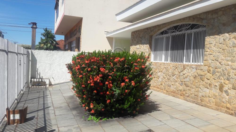 Comprar Casa / Padrão em São José do Rio Preto apenas R$ 550.000,00 - Foto 1 Comprar Casa / Padrão em São José do Rio Preto apenas R$ 550.000,00 - Foto 1