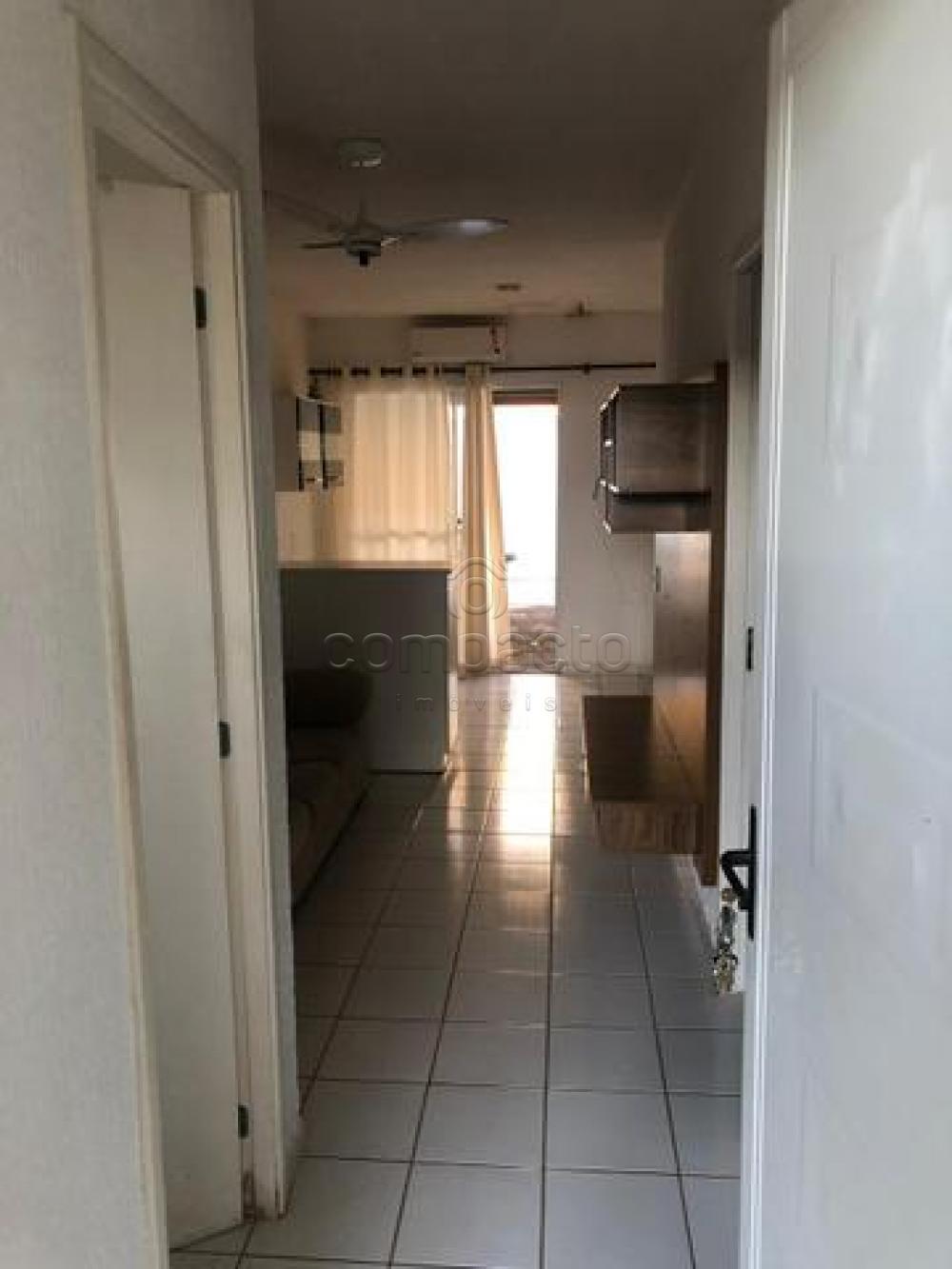 Alugar Casa / Condomínio em São José do Rio Preto apenas R$ 1.200,00 - Foto 2 Alugar Casa / Condomínio em São José do Rio Preto apenas R$ 1.200,00 - Foto 2