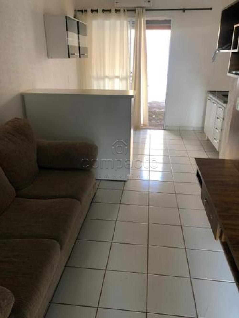 Alugar Casa / Condomínio em São José do Rio Preto apenas R$ 1.200,00 - Foto 3 Alugar Casa / Condomínio em São José do Rio Preto apenas R$ 1.200,00 - Foto 3