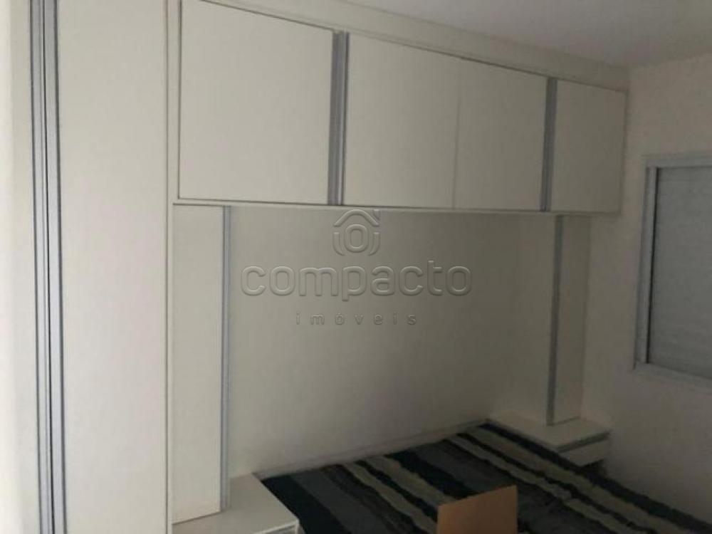 Alugar Casa / Condomínio em São José do Rio Preto apenas R$ 1.200,00 - Foto 5 Alugar Casa / Condomínio em São José do Rio Preto apenas R$ 1.200,00 - Foto 5
