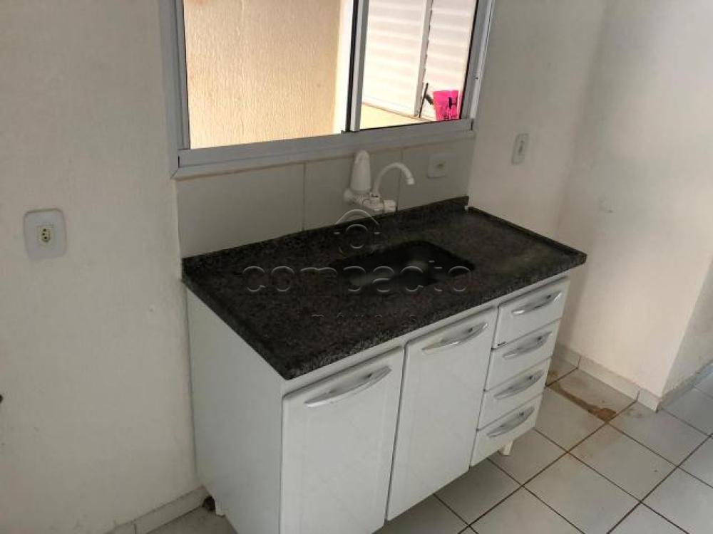 Alugar Casa / Condomínio em São José do Rio Preto apenas R$ 1.200,00 - Foto 11 Alugar Casa / Condomínio em São José do Rio Preto apenas R$ 1.200,00 - Foto 11