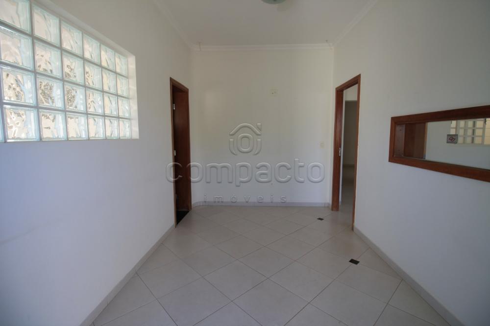 Alugar Comercial / Casa em São José do Rio Preto apenas R$ 2.800,00 - Foto 7 Alugar Comercial / Casa em São José do Rio Preto apenas R$ 2.800,00 - Foto 7