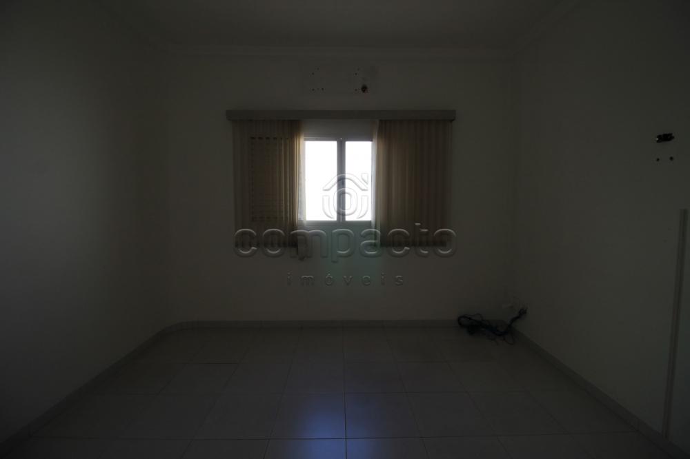 Alugar Comercial / Casa em São José do Rio Preto apenas R$ 2.800,00 - Foto 15 Alugar Comercial / Casa em São José do Rio Preto apenas R$ 2.800,00 - Foto 15