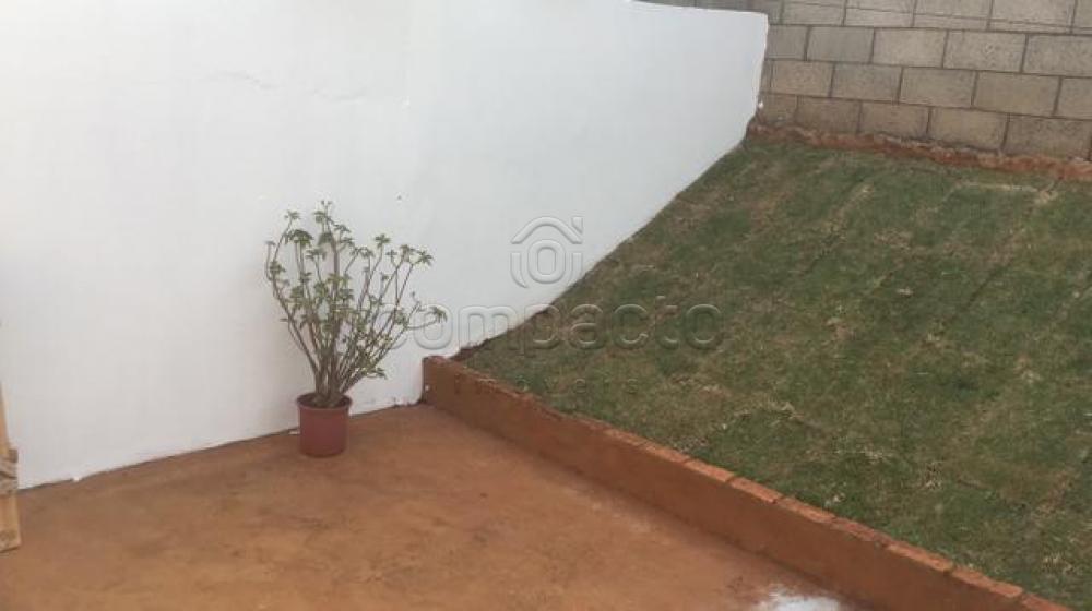Comprar Casa / Condomínio em São José do Rio Preto apenas R$ 285.000,00 - Foto 18 Comprar Casa / Condomínio em São José do Rio Preto apenas R$ 285.000,00 - Foto 18