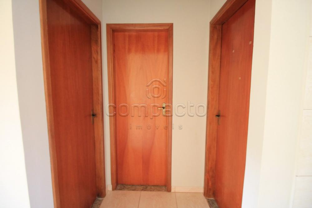 Alugar Casa / Padrão em São José do Rio Preto apenas R$ 900,00 - Foto 5 Alugar Casa / Padrão em São José do Rio Preto apenas R$ 900,00 - Foto 5