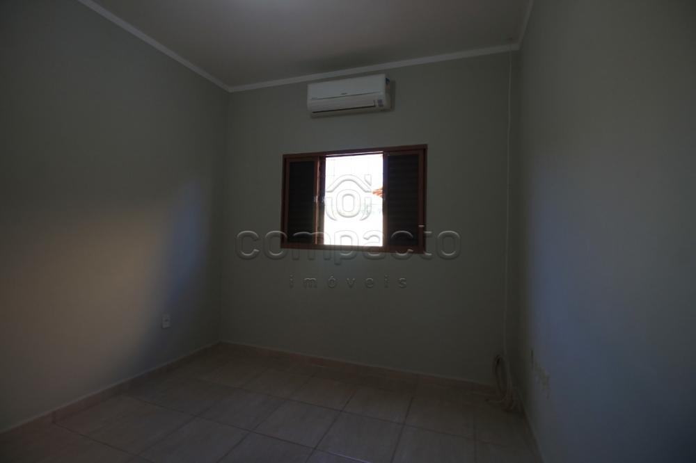 Alugar Casa / Padrão em São José do Rio Preto apenas R$ 900,00 - Foto 6 Alugar Casa / Padrão em São José do Rio Preto apenas R$ 900,00 - Foto 6