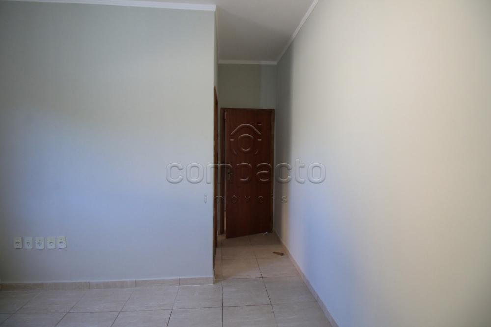 Alugar Casa / Padrão em São José do Rio Preto apenas R$ 900,00 - Foto 7 Alugar Casa / Padrão em São José do Rio Preto apenas R$ 900,00 - Foto 7
