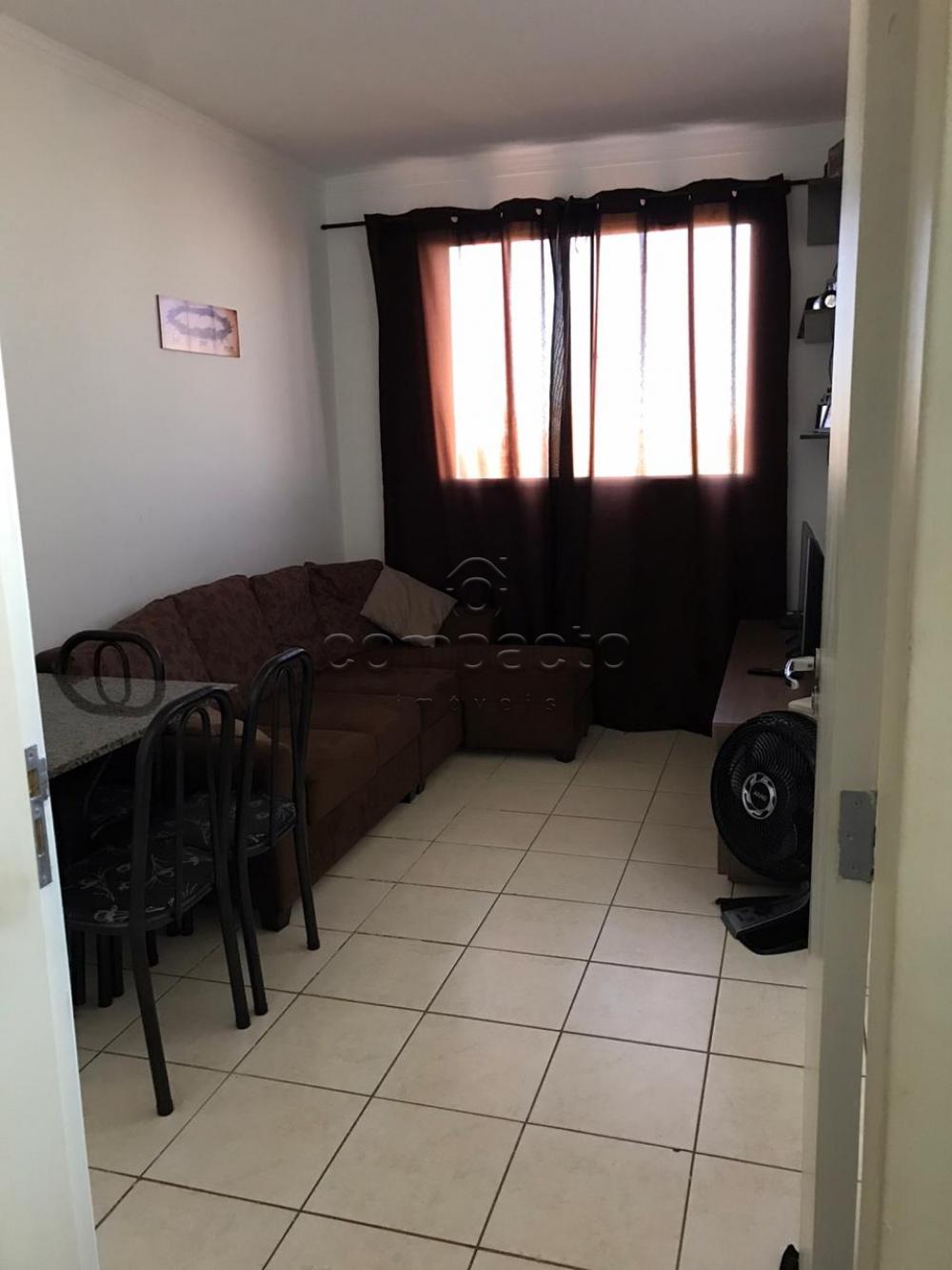 Comprar Apartamento / Padrão em São José do Rio Preto apenas R$ 155.000,00 - Foto 1 Comprar Apartamento / Padrão em São José do Rio Preto apenas R$ 155.000,00 - Foto 1
