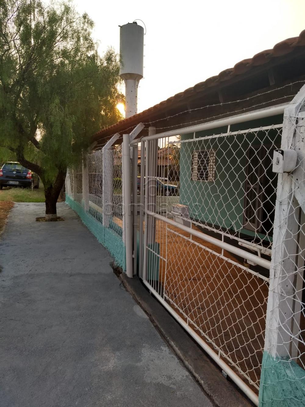 Comprar Rural / Chácara em São José do Rio Preto apenas R$ 254.400,00 - Foto 2 Comprar Rural / Chácara em São José do Rio Preto apenas R$ 254.400,00 - Foto 2