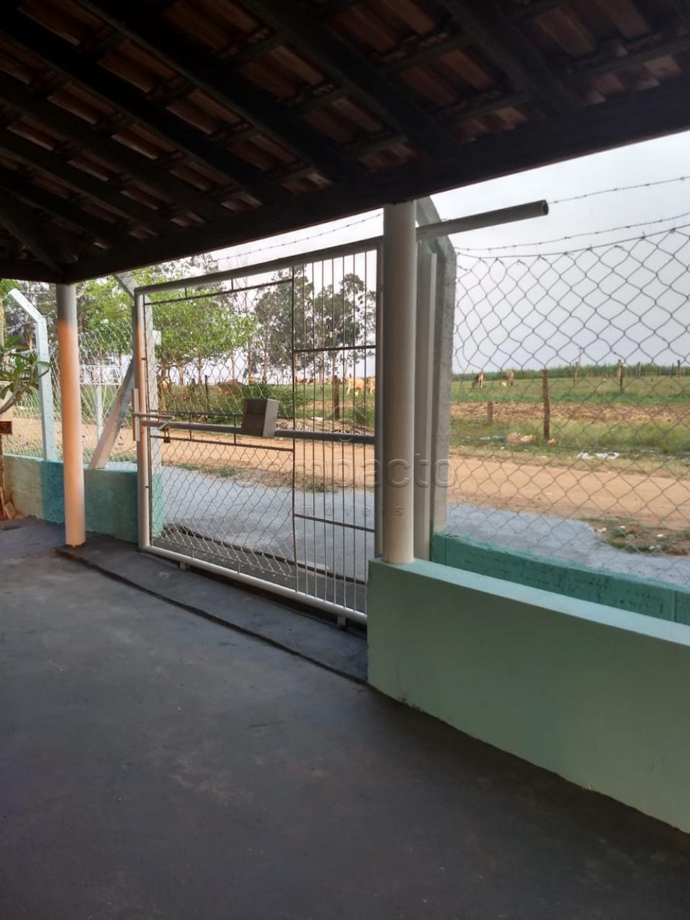 Comprar Rural / Chácara em São José do Rio Preto apenas R$ 254.400,00 - Foto 3 Comprar Rural / Chácara em São José do Rio Preto apenas R$ 254.400,00 - Foto 3