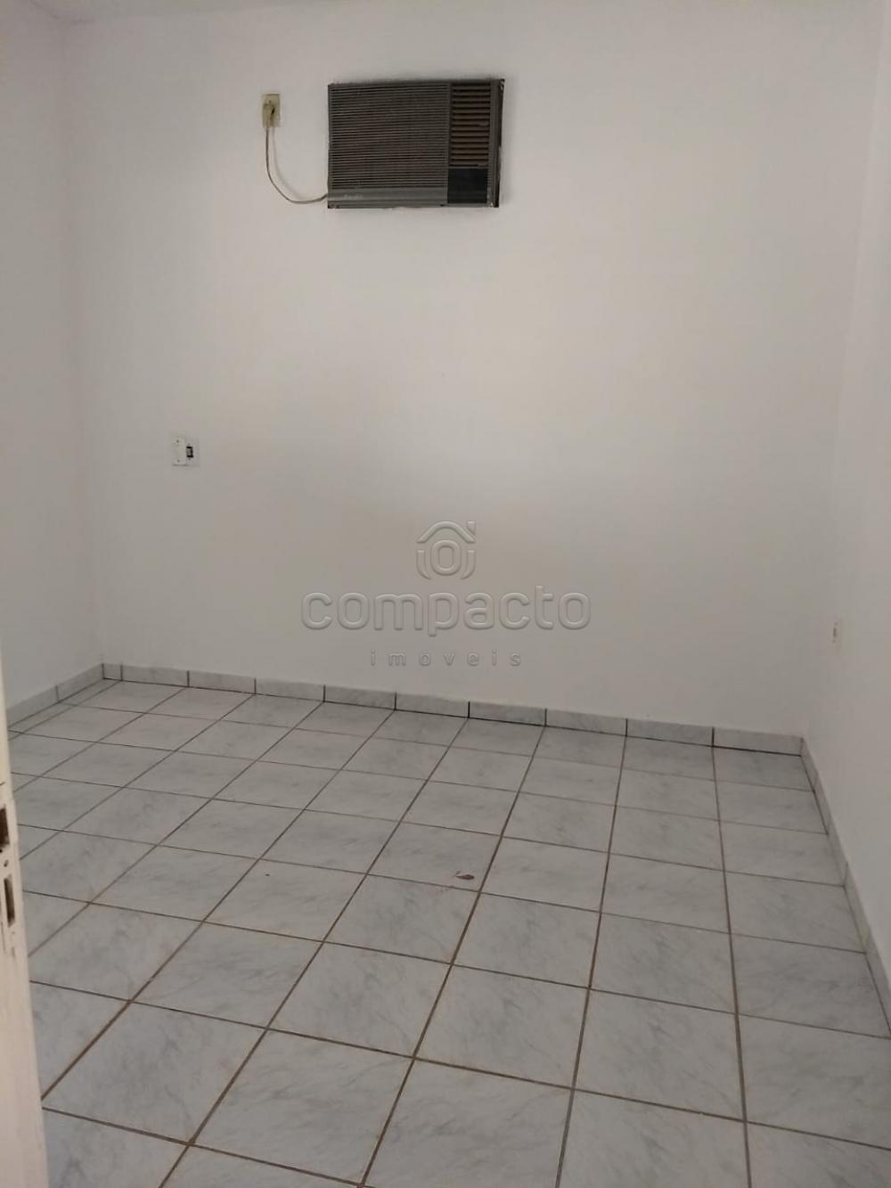 Comprar Rural / Chácara em São José do Rio Preto apenas R$ 254.400,00 - Foto 11 Comprar Rural / Chácara em São José do Rio Preto apenas R$ 254.400,00 - Foto 11