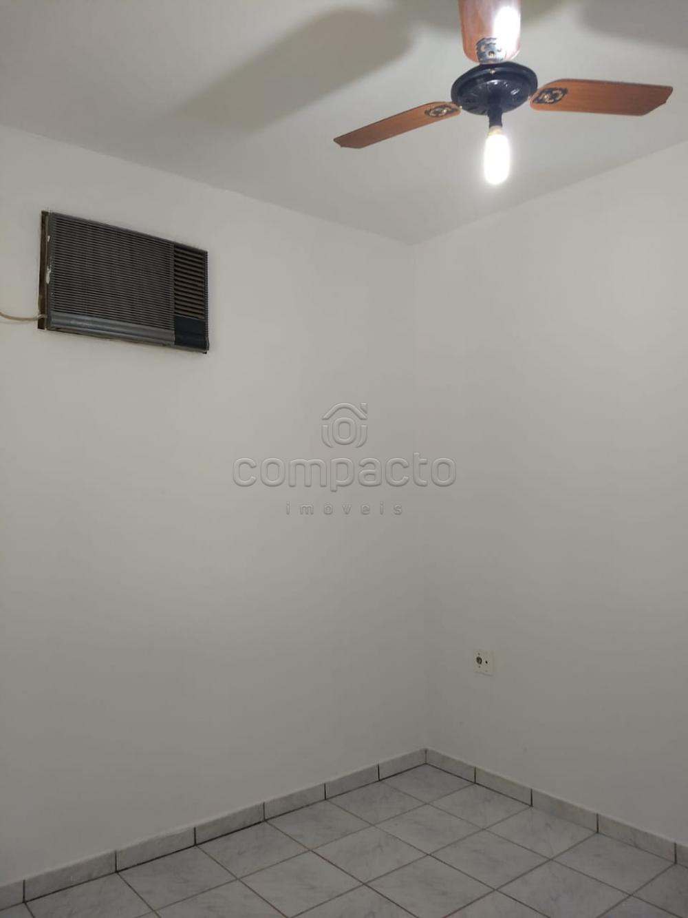 Comprar Rural / Chácara em São José do Rio Preto apenas R$ 254.400,00 - Foto 12 Comprar Rural / Chácara em São José do Rio Preto apenas R$ 254.400,00 - Foto 12