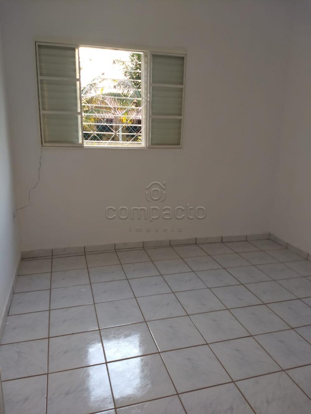 Comprar Rural / Chácara em São José do Rio Preto apenas R$ 254.400,00 - Foto 13 Comprar Rural / Chácara em São José do Rio Preto apenas R$ 254.400,00 - Foto 13
