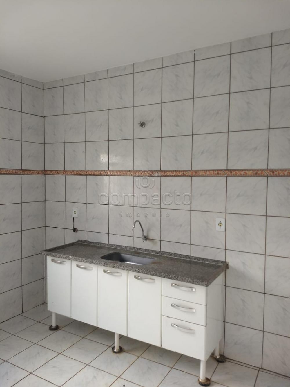Comprar Rural / Chácara em São José do Rio Preto apenas R$ 254.400,00 - Foto 16 Comprar Rural / Chácara em São José do Rio Preto apenas R$ 254.400,00 - Foto 16
