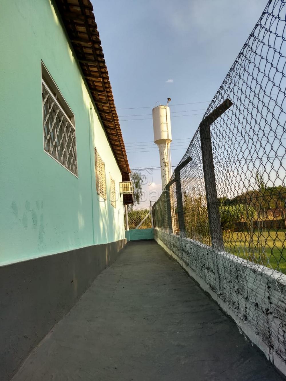 Comprar Rural / Chácara em São José do Rio Preto apenas R$ 254.400,00 - Foto 25 Comprar Rural / Chácara em São José do Rio Preto apenas R$ 254.400,00 - Foto 25