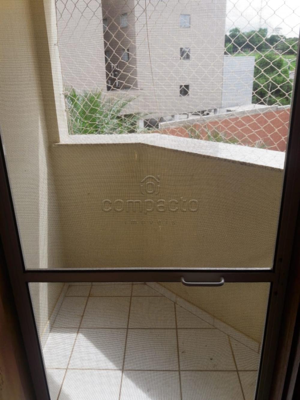 Alugar Apartamento / Padrão em São José do Rio Preto apenas R$ 1.300,00 - Foto 4 Alugar Apartamento / Padrão em São José do Rio Preto apenas R$ 1.300,00 - Foto 4
