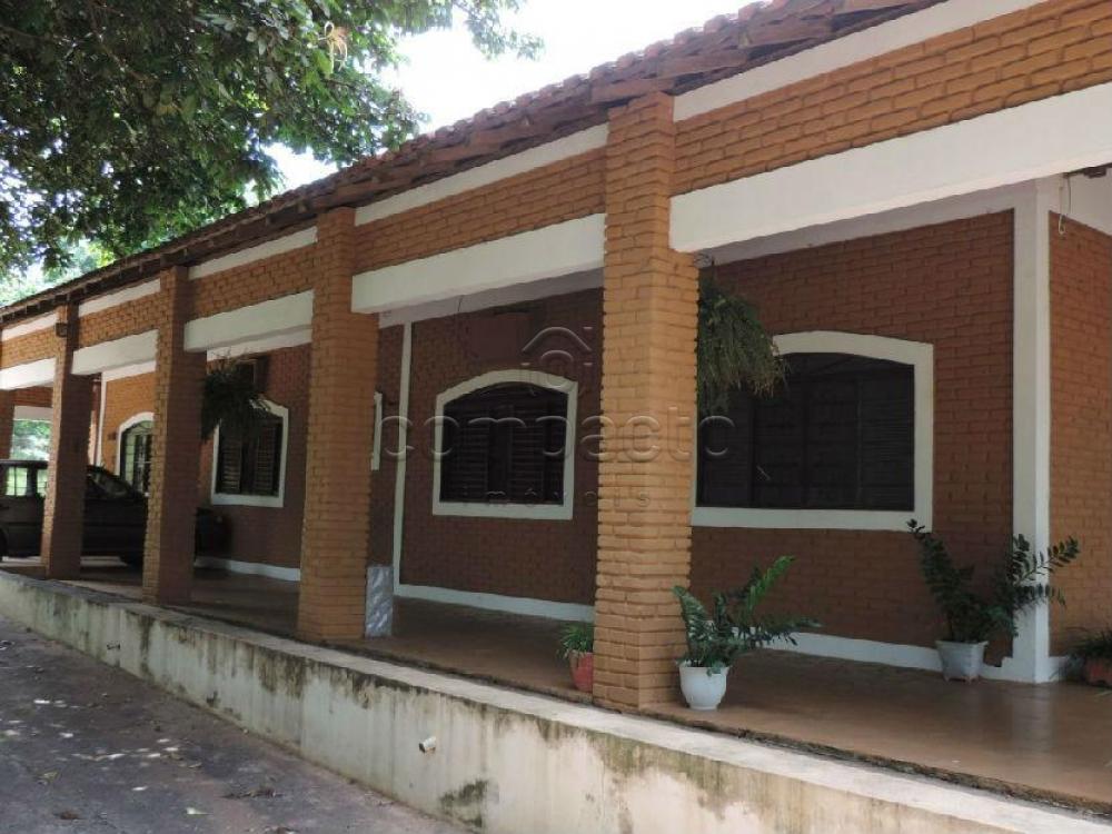 Comprar Rural / Chácara em São José do Rio Preto apenas R$ 750.000,00 - Foto 3 Comprar Rural / Chácara em São José do Rio Preto apenas R$ 750.000,00 - Foto 3