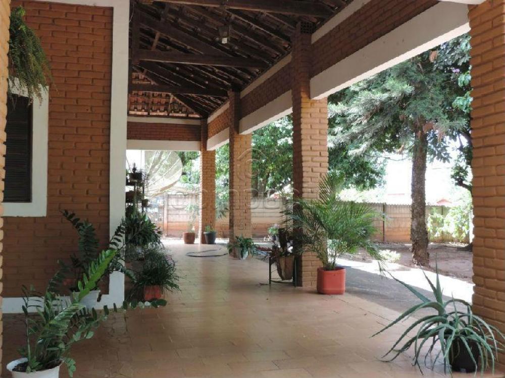 Comprar Rural / Chácara em São José do Rio Preto apenas R$ 750.000,00 - Foto 4 Comprar Rural / Chácara em São José do Rio Preto apenas R$ 750.000,00 - Foto 4