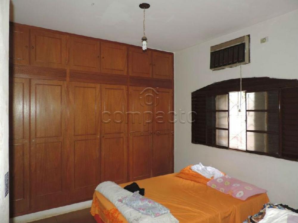 Comprar Rural / Chácara em São José do Rio Preto apenas R$ 750.000,00 - Foto 5 Comprar Rural / Chácara em São José do Rio Preto apenas R$ 750.000,00 - Foto 5