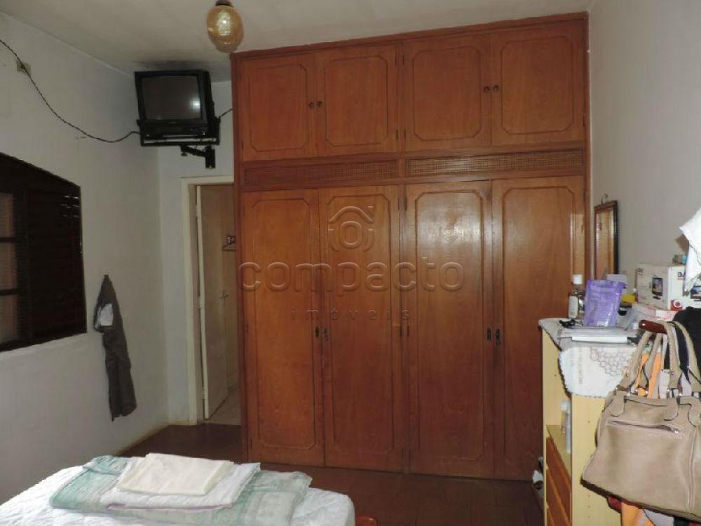Comprar Rural / Chácara em São José do Rio Preto apenas R$ 750.000,00 - Foto 6 Comprar Rural / Chácara em São José do Rio Preto apenas R$ 750.000,00 - Foto 6