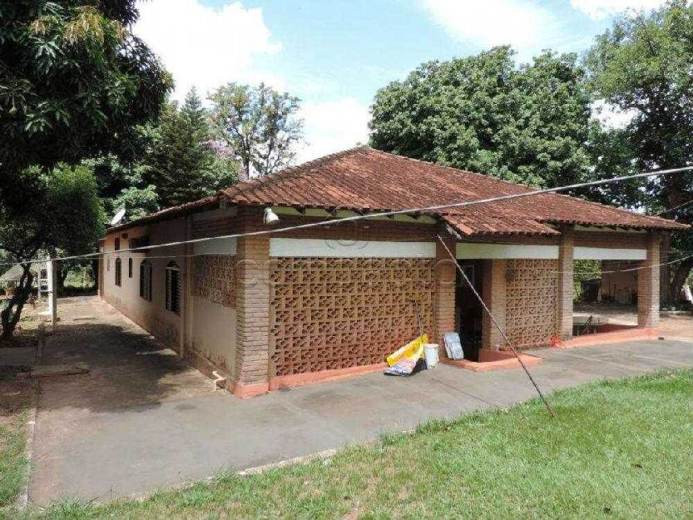 Comprar Rural / Chácara em São José do Rio Preto apenas R$ 750.000,00 - Foto 8 Comprar Rural / Chácara em São José do Rio Preto apenas R$ 750.000,00 - Foto 8