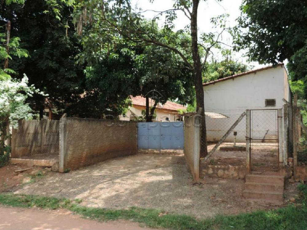 Comprar Rural / Chácara em São José do Rio Preto apenas R$ 750.000,00 - Foto 11 Comprar Rural / Chácara em São José do Rio Preto apenas R$ 750.000,00 - Foto 11