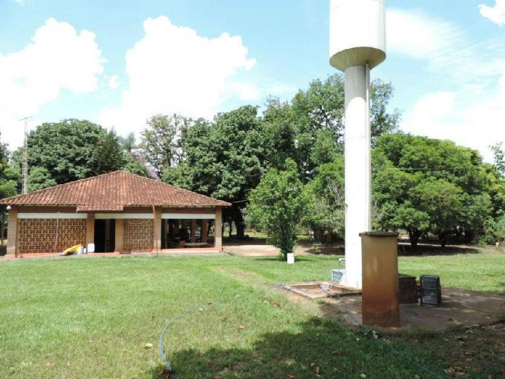 Comprar Rural / Chácara em São José do Rio Preto apenas R$ 750.000,00 - Foto 9 Comprar Rural / Chácara em São José do Rio Preto apenas R$ 750.000,00 - Foto 9