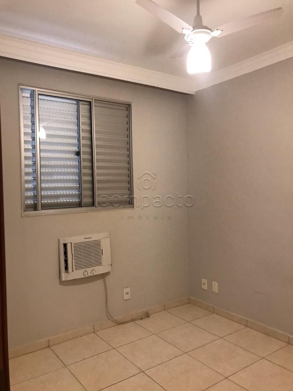Alugar Apartamento / Padrão em São José do Rio Preto apenas R$ 1.150,00 - Foto 11 Alugar Apartamento / Padrão em São José do Rio Preto apenas R$ 1.150,00 - Foto 11